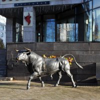 Про вкус говяжьего стейка :: AleksSPb Лесниченко