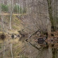 Узорчатость :: sorovey Sol