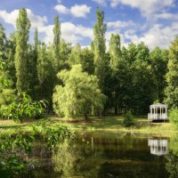 Есть в нашем парке чудный пруд... :: Валерий VRN Есть в нашем парке чудный пруд... :: Валерий VRN