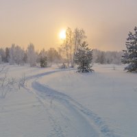 Морозно. :: Александр Иванович Шитов