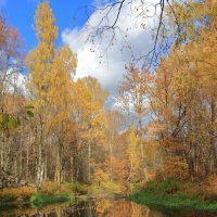 Осень :: Александр Алексеенко