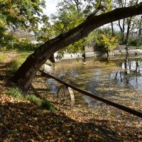 Особая функция колеса :: Александр