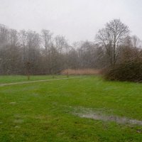 Шёл снег... :: Николай Гирш