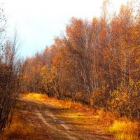 Осенние краски :: Сергей Никифоров