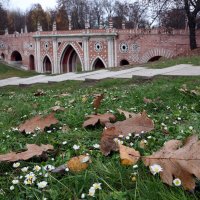 Царицыно 10 ноября :: Михаил Бибичков