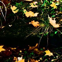 Осень 47 :: Алексей Кузнецов