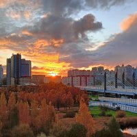 Вид из окна. Октябрь. :: dli1953 