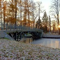 Ноябрьский вечер в ЦПКиО им. С.М. Кирова :: dli1953 