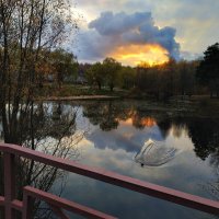 Начало ноября :: Андрей Лукьянов