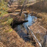 Бежит реченька... :: Андрей Хлопонин