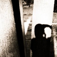 Фотография :: Денис Безногов