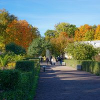 Осень в парке :: Ольга Осень в парке :: Ольга