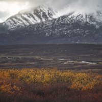 * :: Александр Иванов