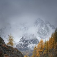 * :: Александр Иванов