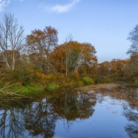 Старое русло реки :: Сергей Цветков Старое русло реки :: Сергей Цветков