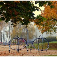 *** :: Aleksandr Gal