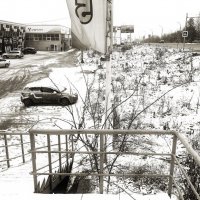 Фотография :: Денис Безногов