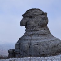 Природа Крыма :: Amazing Cosmea