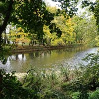 Картинки осени :: Рита Симонова