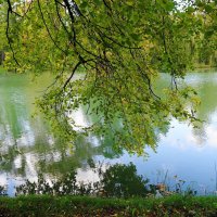 Картинки осени :: Рита Симонова