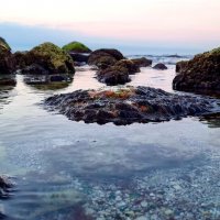 рассвет :: Ольга Косачова рассвет :: Ольга Косачова