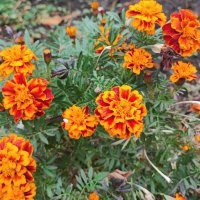 ,,, :: Сергей Тимоновский