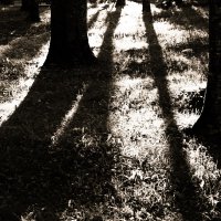 Фотография :: Денис Безногов