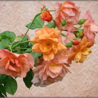 Осеннее... :: Татьяна Львова