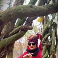 Парк :: Лана 