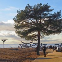 Ласковый пляж :: Магомед . Ласковый пляж :: Магомед .