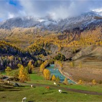 Просторы горного Алтая... :: Алексей Мезенцев