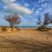 Весна 2021 :: Vladimir 