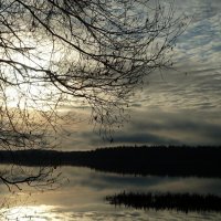 Ноябрь :: Марина 