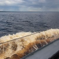 онежская волна :: navalon M