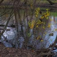 ***** :: юрий поляков