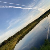 Диагональ :: Ольга Савельева 