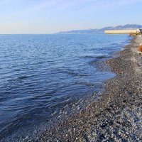 РИВЬЕРА :: Tata Wolf