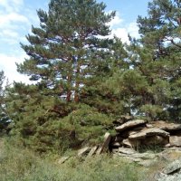 Летний день :: Андрей Хлопонин