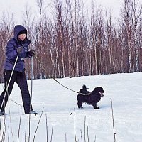 Декабрь...На лыжне вдвоем с песиком! :: Владимир 