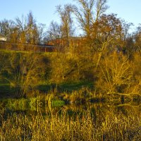 У пруда :: Сергей Цветков