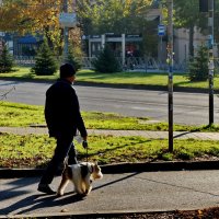 Навстречу Солнцу... :: Николай Саржанов