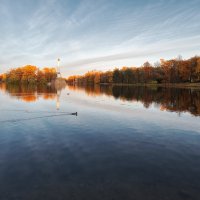 *** :: Александр Кислицын