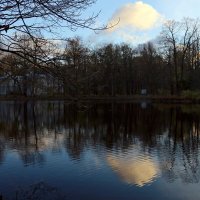 Осенние сумерки :: Ольга 