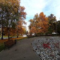 Осень. :: Владимир Драгунский