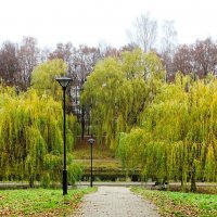 Город в ноябре. :: Милешкин Владимир Алексеевич 