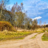 Природа Смоленщины в конце октября. :: Милешкин Владимир Алексеевич 