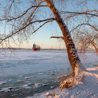 Северное морозное утро. :: Андрей Дурапов
