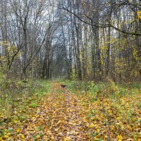 ___ :: Yuriy V ___ :: Yuriy V