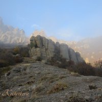 Природа Крыма :: Amazing Cosmea