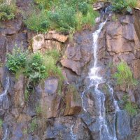 Радуга-парк :: Елена Шаламова